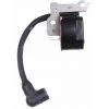 Bobine Allumage Moteur Motobineuse Tecumseh